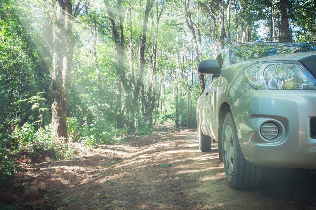 Camioneta circulando por un camino de tierra en medio de un bosque