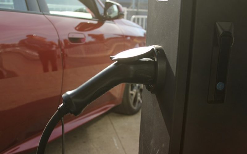 IMG_5165 en tamaño mediano