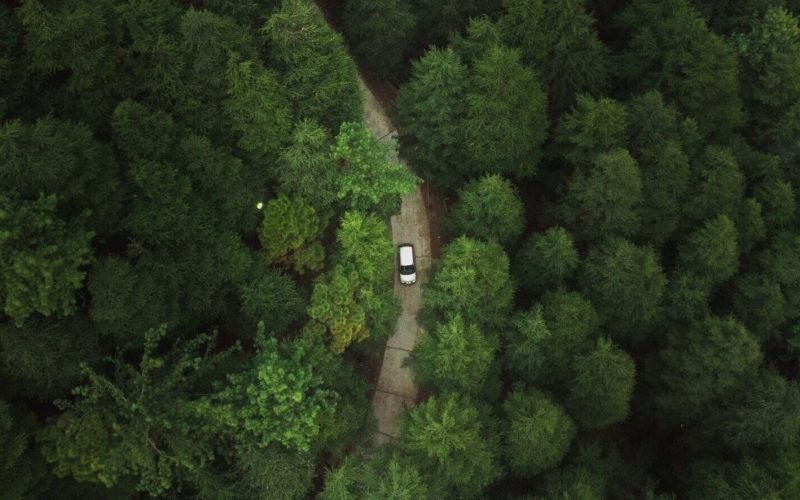 An aerial shot of a car riding through a road in the forest with tall green dense trees